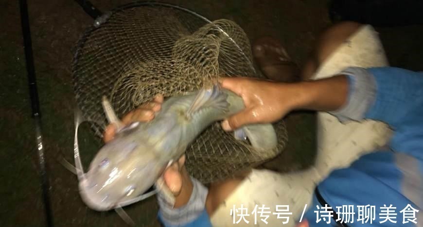 夜钓长江,钓起一条三斤多怪鱼,有老渔民认识!