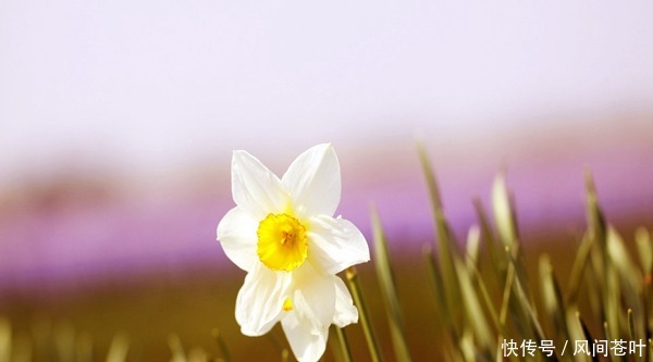 眉头皱纹怎么去除 ，笑看世间变迁 ，而你仍旧青春常在！