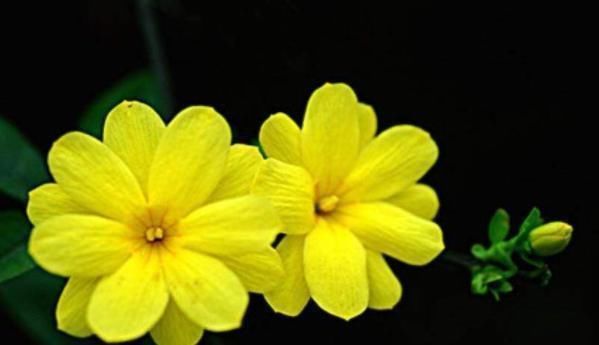 假话!俗话说:事莫做绝,话莫说尽,想要命中带福,别说4句话!