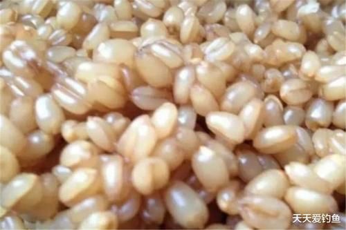 春季正是出大鲫鱼的时候,分享几款自制窝料的制作方法,次次大鲫大鲤