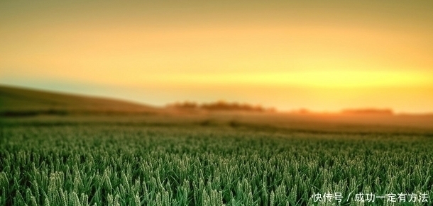 闲情偶寄|女孩名字大全：《论语》才貌双全的女宝宝名，真的是好听又别致
