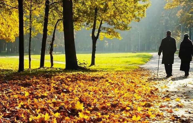 血糖|糖尿病20年,吃喝不忌口,糖化低于6.2,我的方法总结有5点