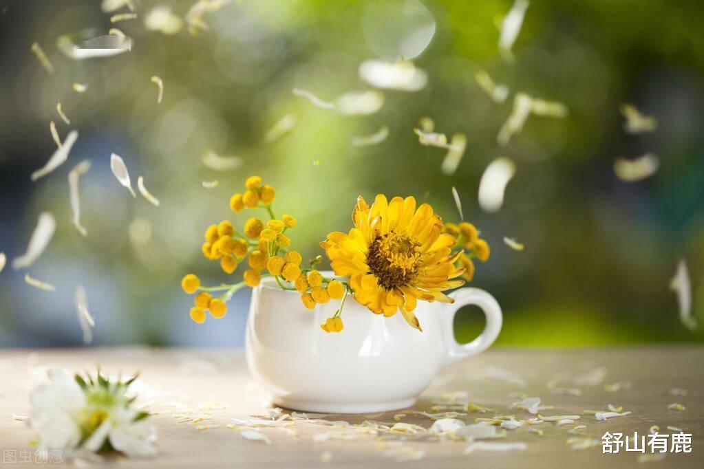 心态|人到五十,调整心态,最有福气的生活方式,莫过于这两个字