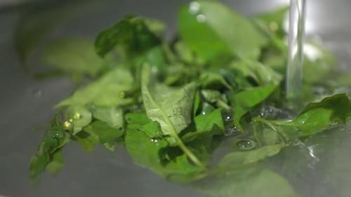 你那有人吃這種野菜嗎？學名龍葵草，土話叫白花菜，你那叫啥？