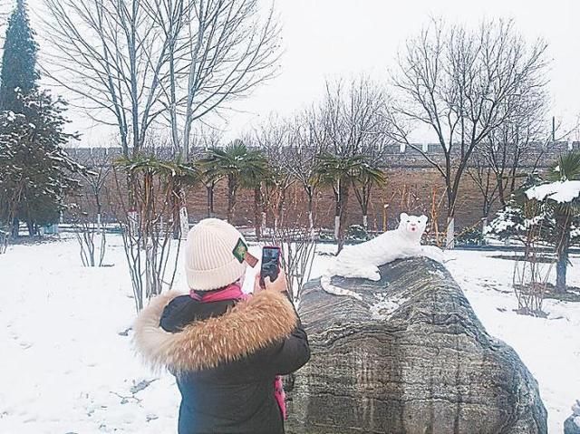 雪景|开封迎来今年首场降雪 市民争相拍雪景、堆雪人