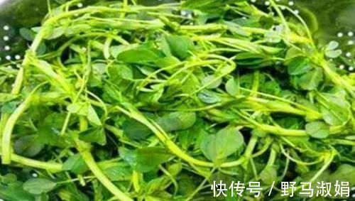 食物|想长寿得会吃,常吃以下食物,防止老年痴呆,还可以排毒养颜