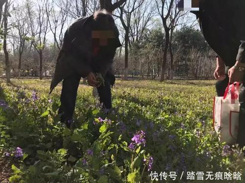 王大妈|67岁老人,甘油三酯从5.8降到1.7,经验是常吃一酸,不升血脂