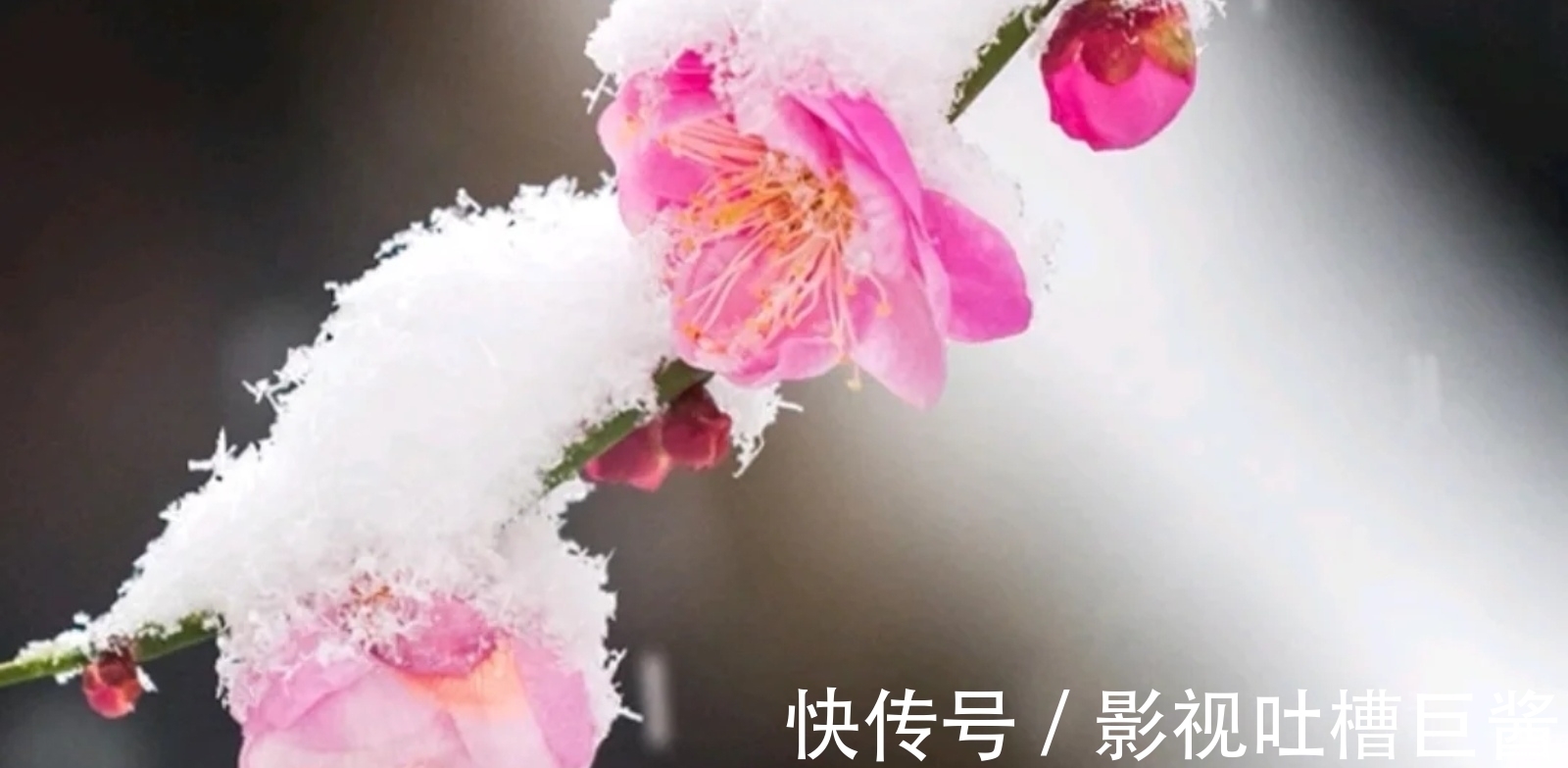 除夕夜&陆游在除夕夜举杯未饮先作诗,窗外大雪纷飞,屋内灯火暖暖