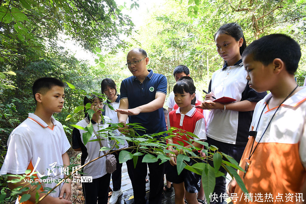 感悟|江西宜丰：青少年走进森林 感悟自然之美