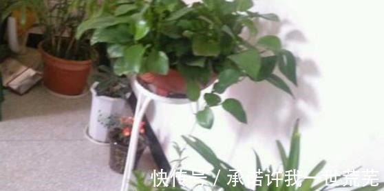 8年赚了30万,回乡下盖了个小别墅,装好后朋友却说很土气