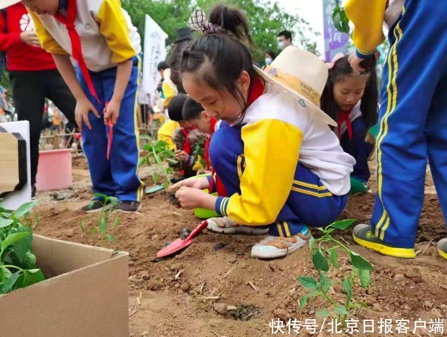 基地|走进田野亲近大地、亲手播种体验劳技……北京“劳动大学”开学啦