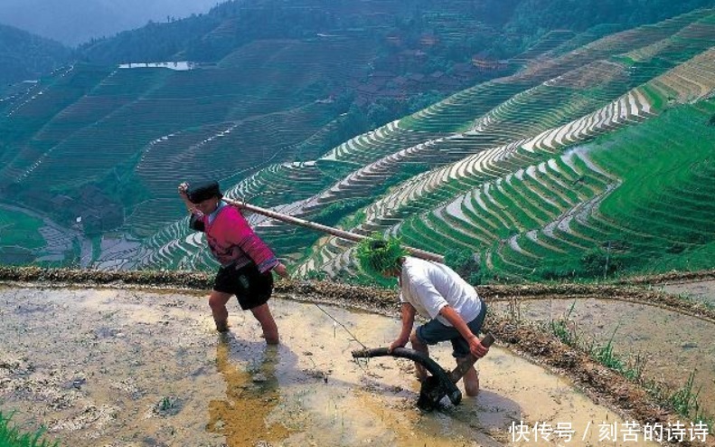 “有福之人两腿毛，无福之人毛两腿”，到底什么意思看后才明白