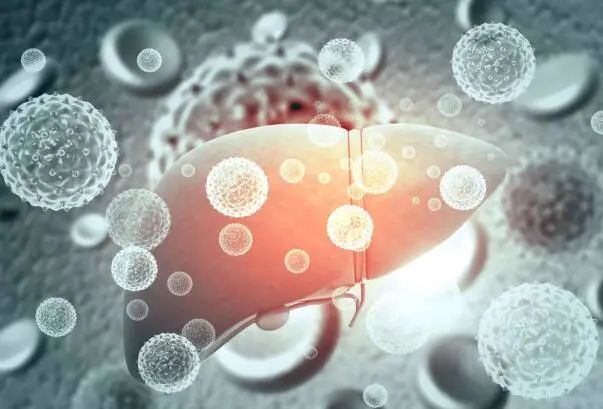 生存期|一旦确诊肝癌,究竟还能活多久?医生坦白:关键要看这3点