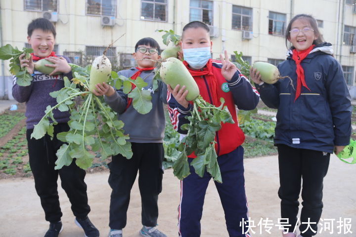 萝卜|拔萝卜喽！两亩专属农场，郑州这家小学劳动教育野趣满满