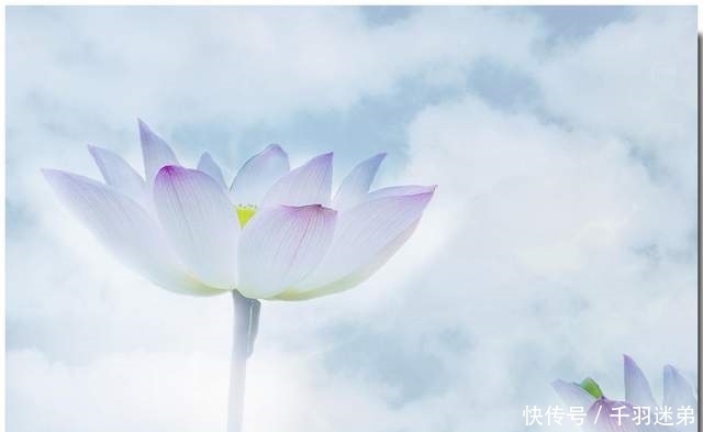 开悟|易经：成事的机要是，收回自己的在意，不让心智干扰