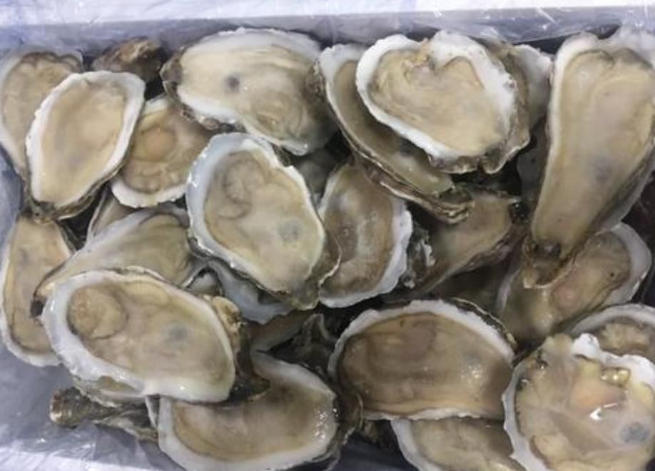 吃自助餐时,这4种食物别再拿了,你拿的越多,服务员越笑你傻