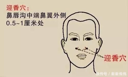 很简单的养生穴位讲解鼻炎、高血压、体寒，揉一揉就可以解决