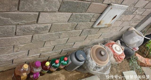 不算|喜欢养花,先“染上”2个坏习惯,否则就不算爱养花,看你有吗?