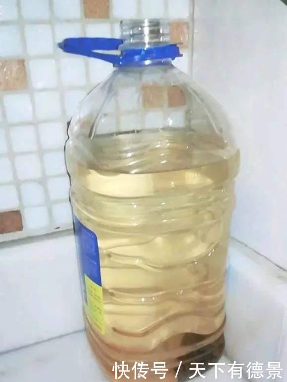 富贵竹|富贵竹黄叶黑杆,水里加点料,2周生根冒新叶!