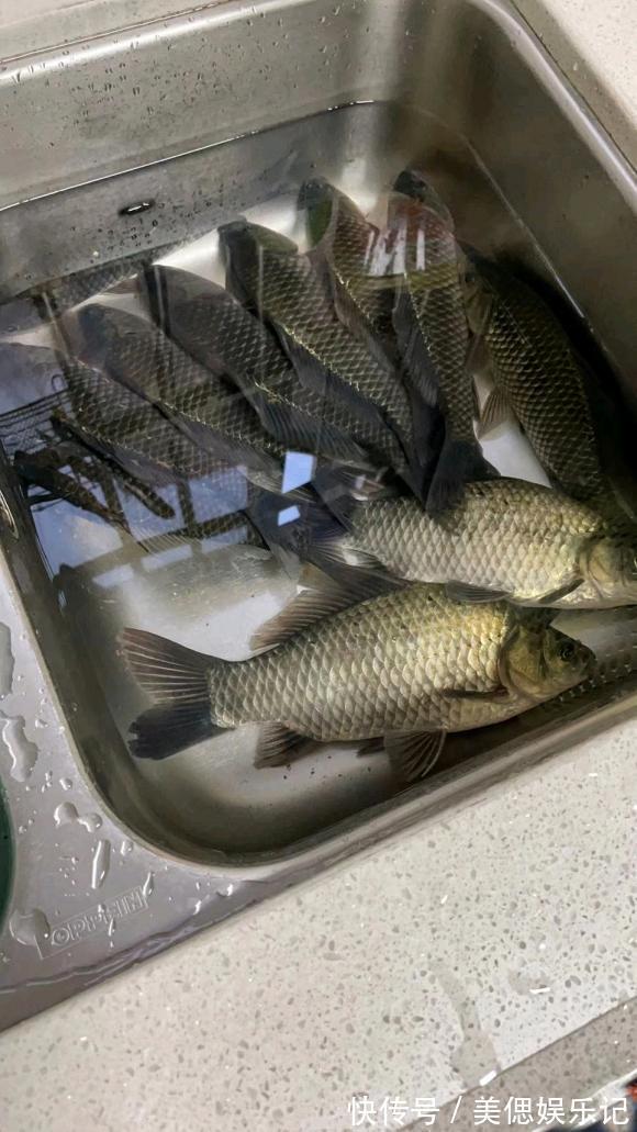 初夏钓大板鲫攻略,产完卵会去这几个地方,用对方法爆护不难