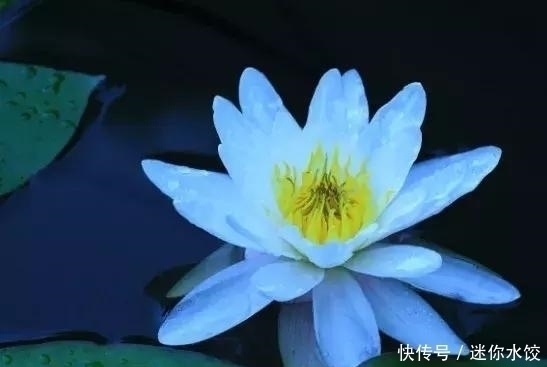 睡眠质量|原来健康不代表就能长寿，长寿和这6件事关系更密切