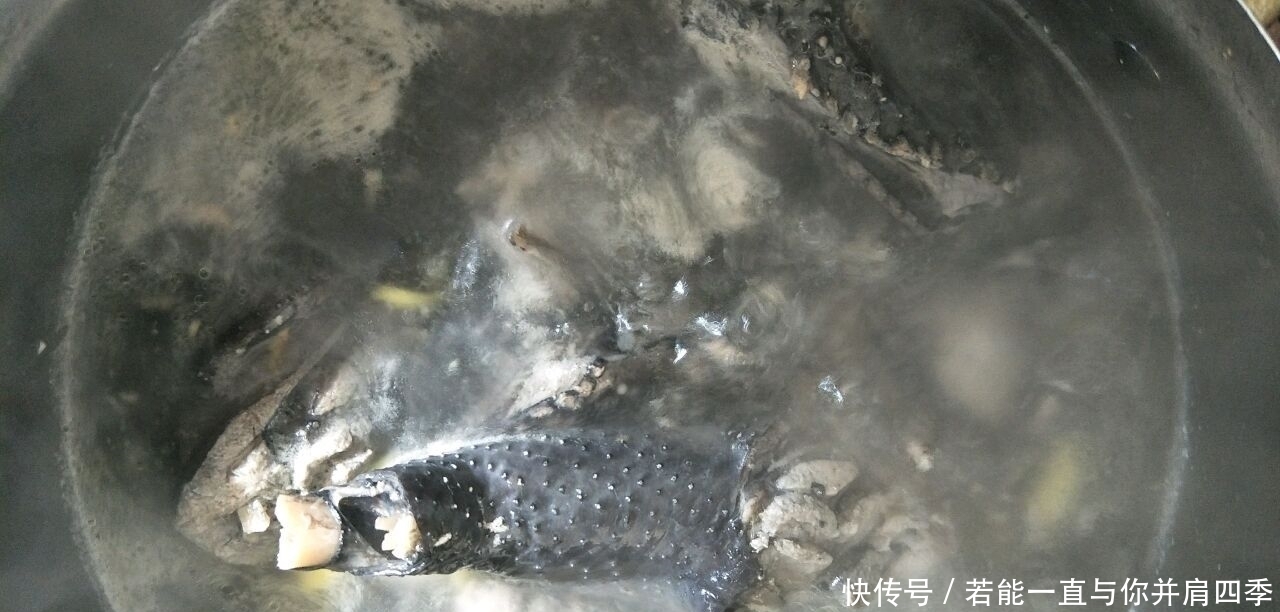 春节前后,多给家人喝这汤,简单炖一炖,营养又补血,不懂可惜了