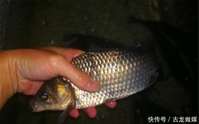 晚春夜钓选钓位,远离这些不出鱼的位置,鱼不从这些地方“路过”