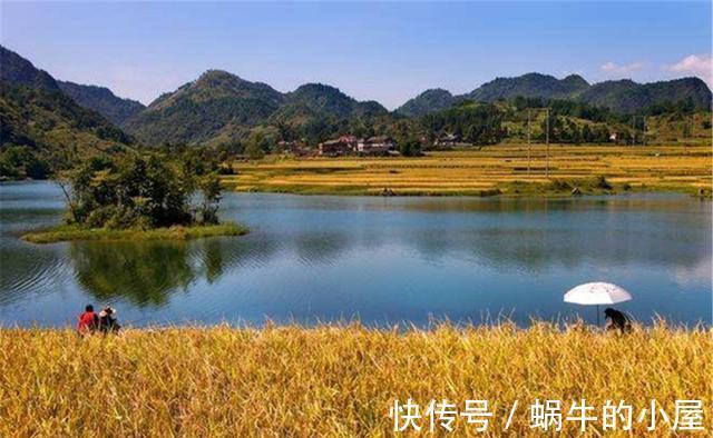 法宝|秋季野钓，用这些必胜法宝，不爆护是不可能的