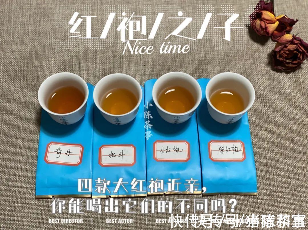李麻花$四则茶圈秘辛,讲述大红袍后代们的跌宕故事,走进岩茶的历史变迁