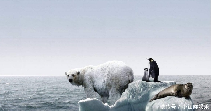 上升 至少6.8亿人失去家园!研究发现:海平面上升远比想象中可怕!