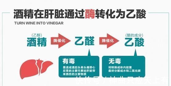 五梅|想养肝先管住嘴,这3种食物,再喜欢也少碰,肝脏会感激你的