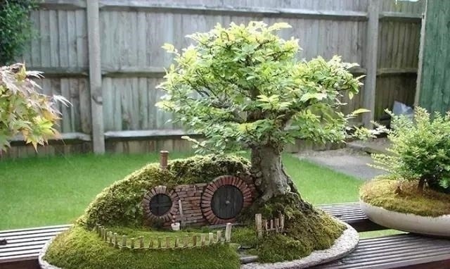 世界上又一奢侈品《盆栽》一盆就是一座房子！