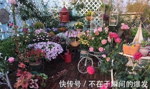 腐叶土|3种“废物”捡回家,扔花盆里,土肥的流油,养花猛长不含糊