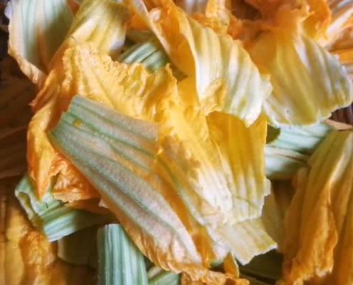 清热解毒|它是“全能蔬菜”,5块钱1把,浑身是宝,清热解毒,明目,护心