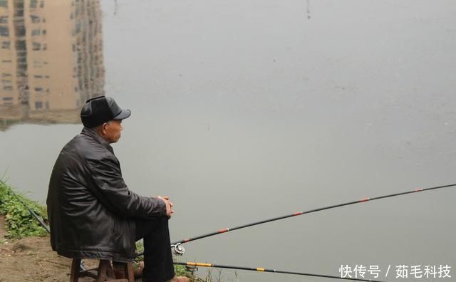 技巧|实用钓鱼技巧分享，掌握这些一准不吃亏，对提升渔获帮助很大