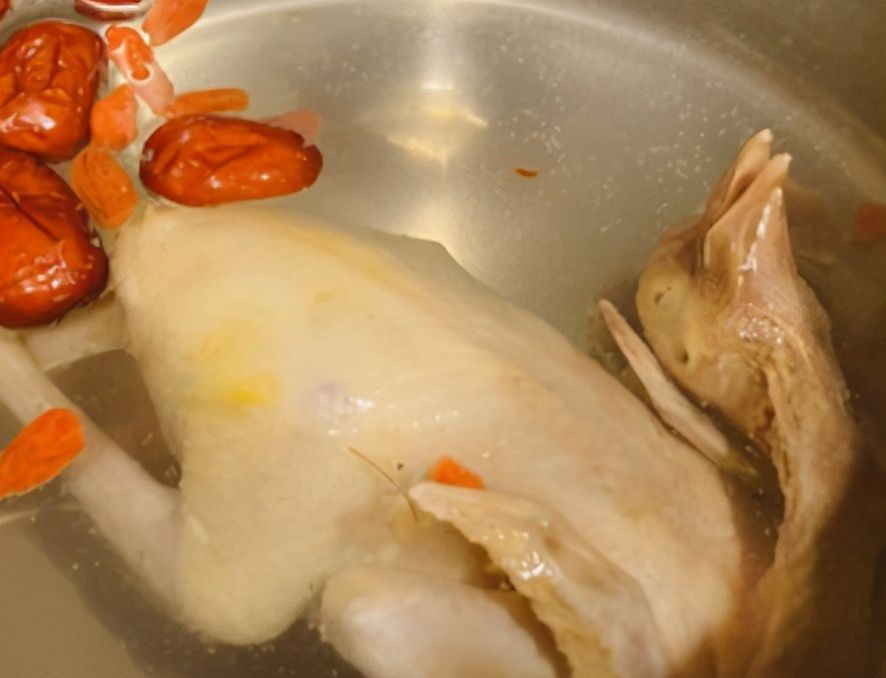 鸽子汤怎么做才好喝？这样炖超营养，味道鲜美无比