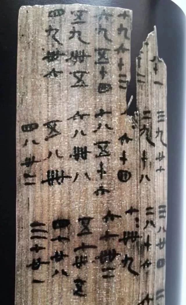 形象|古井里挖出3600多枚秦简,专家称或改写秦始皇形象!