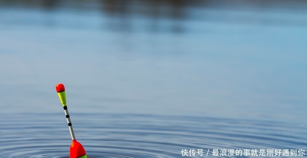 饵料|为什么太阳出来后,鱼就停口了?解析温度升高水中缺氧的作钓技巧
