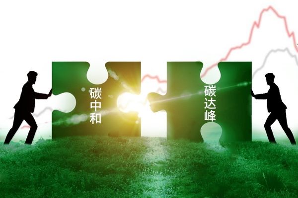 阿里巴巴|阿里巴巴公布碳中和目标：不晚于2030年实现自身运营碳中和