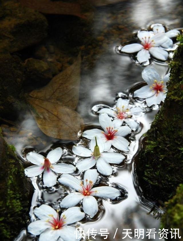 开悟|佛家一句话,胜读十年书!多读开悟才是正道