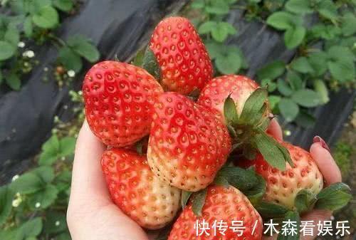 营养物质|糖尿病患者一口甜的食物都不能吃错的离谱,3种甜味食物可以吃