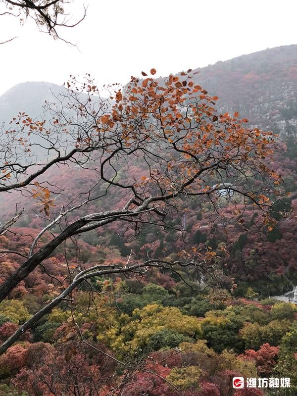 石门坊景区|夕照映红叶，不亦美哉