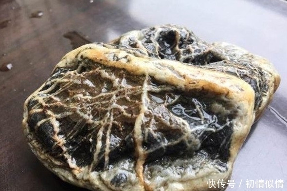 丢掉|小伙野外捡到一块石头,村民说不干净要丢掉,鉴定后结果喜人