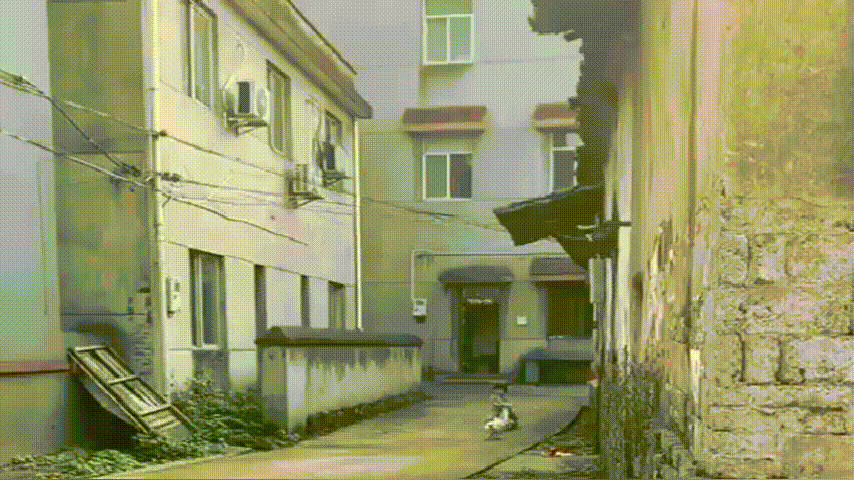 孩子|小公主去姥姥家的第二天,变成村中一霸,嚣张的大鹅见到都害怕