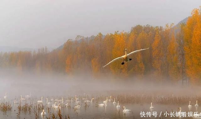 大地|「视觉」河东大地绽新颜 今朝盛景迷人眼