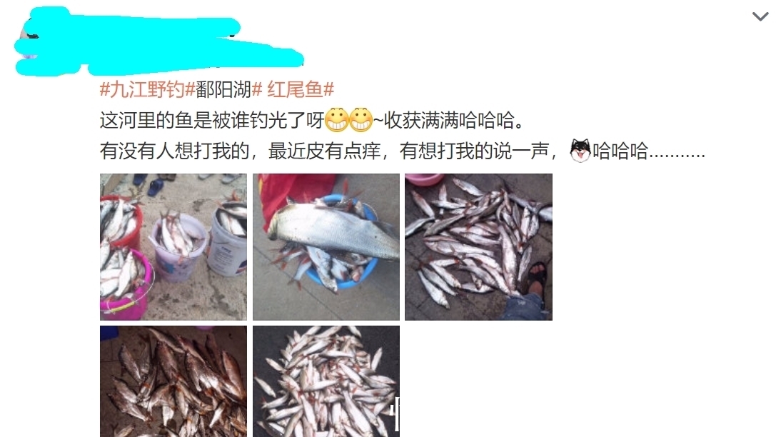 钓鱼人|冤不冤？江西钓鱼人网上炫耀渔获，被网友一致吐槽
