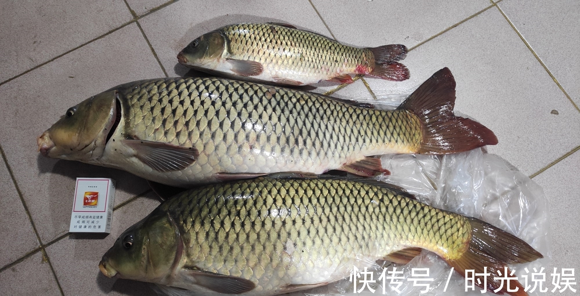 手竿|钓鲤鱼我就服这种鱼钩“从不跑鱼”伊势尼千又等钩都要靠边站