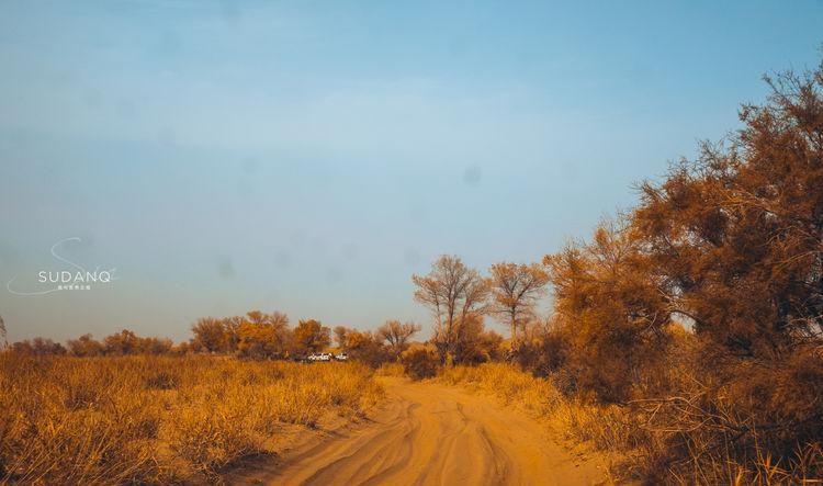 村落|探秘塔克拉玛干沙漠，寻找神秘村落，据说“走进去，出不来”