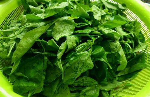 想养生得会吃，3种食物换着吃，延缓衰老，美容养颜