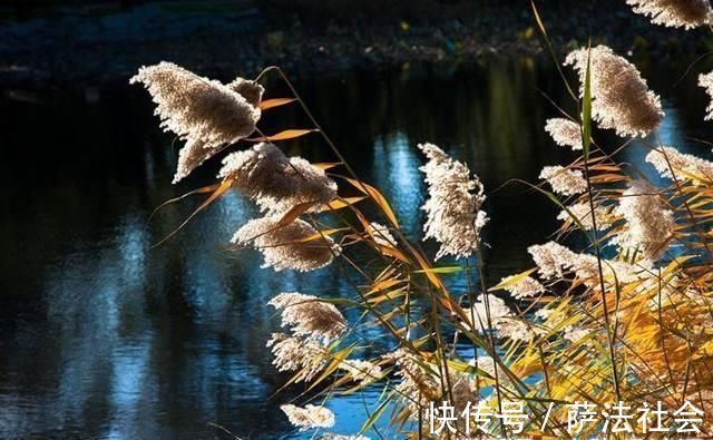望庐山瀑布|最奇特的唐诗作品,全文28字,开头结尾都是中原最著名的城市